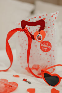 LOVEBUG GIFT BAG